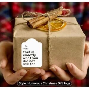 Funny Humorous Holiday Christmas Gift Tag Set 60 pc